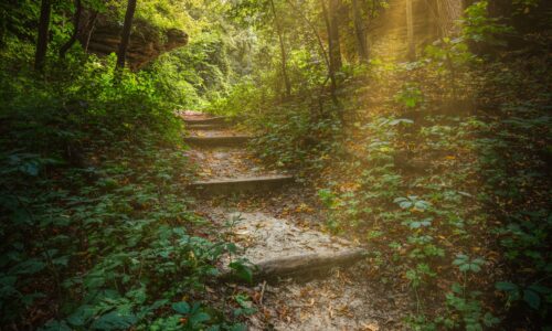 dave-hoefler-PMs1BS2E8sU-unsplash